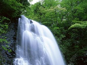 名古屋駅から徒歩5分！快適な滞在が叶う東横INN名古屋駅桜通口本館の魅力と施設情報