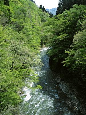 茨城県日立市のビジネスホテル「東横INN日立駅前」：便利な立地と快適な宿泊環境を提供