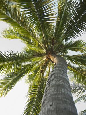 東京都豊島区・大塚駅近くの快適ステイを実現！東横INN山手線大塚駅北口2の魅力と詳細情報