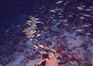 横手駅前からアクセス抜群！快適な滞在を実現する横手プラザホテルの魅力と観光スポット紹介