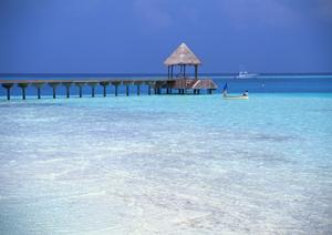 香川県丸亀市のビジネスホテル：東横INN丸亀駅前の魅力と特長