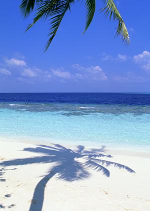 広島市の快適なビジネス・観光宿泊を実現！東横INN広島平和大通の魅力と最新情報