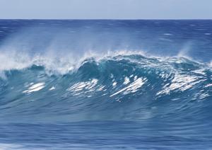 成田空港からのアクセス抜群！東横イン成田空港新館の魅力と詳細ガイド