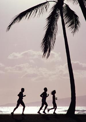 姫路駅南口から徒歩1分！快適な滞在を提供する東横INN姫路駅新幹線南口の魅力と詳細情報